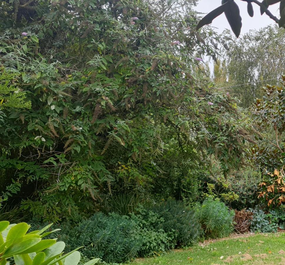 Windhaven Bed & Breakfast Duntroon Εξωτερικό φωτογραφία